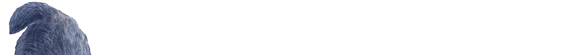 Ikona