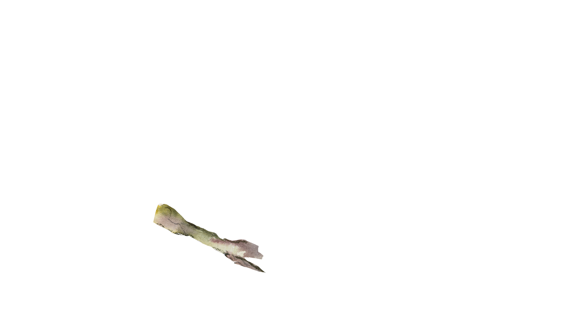 Ikona