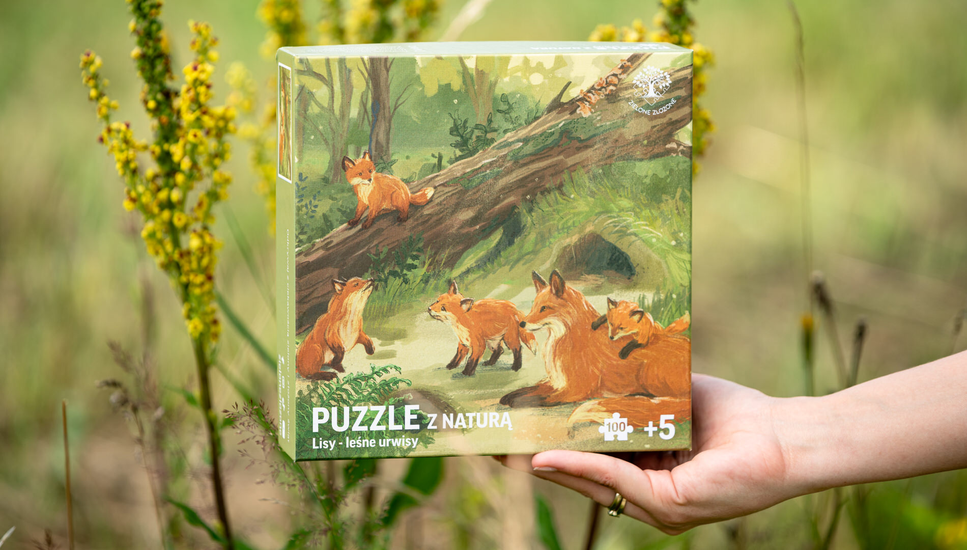Puzzle edukacyjne, przyrodnicze, dla dzieci lub seniorów. Puzzle z lasem, dzikimi, leśnymi zwierzętami. Na ilustracji lis rudy - mama z młodymi szczeniętami, w tle huba, powalone drzewa, suche gałęzie i nora lisów. Lisy poznają świat obserwując mamę i poprzez zabawę.