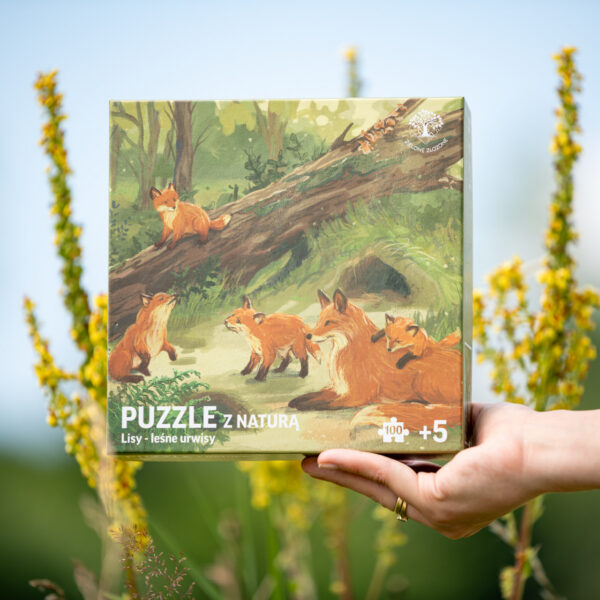 Puzzle edukacyjne dla dzieci, o polskiej przyrodzie, z młodymi lisiątkami i ich mamą. Lis rudy na puzzlach przedstawiony w lesie, gdzie przestrzeń wypełniają paprocie, trawy i pokrzywy, a także pnie, gałęzie i otwory w ziemi.