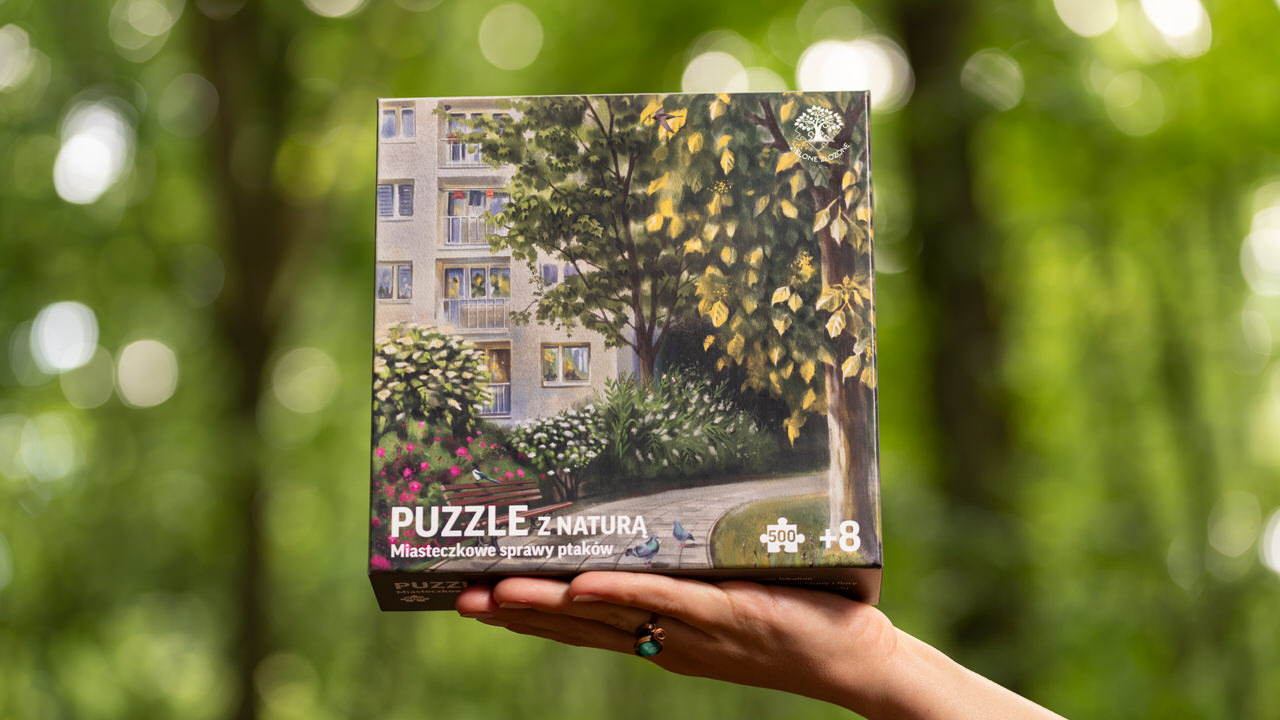 Puzzle przyrodnicze z miejską fauną i florą. Blok w polskim mieście, z alejką, ławeczką, miejską roślinnością oraz ptakami, które żyją w mieście tj. gołębiami miejskimi, wróblami zwyczajnymi, sroką zwyczajną, jerzykiem i oknówką.