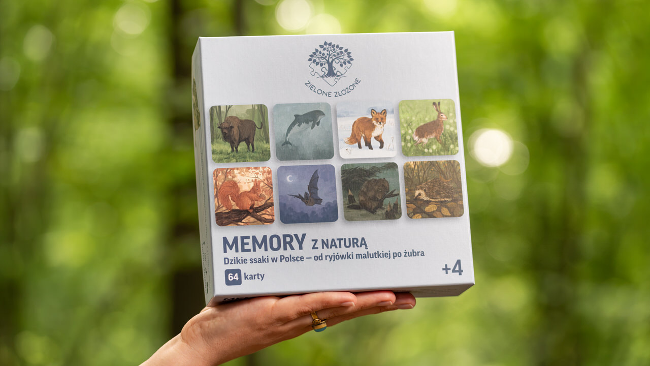 Gra memory dzikie ssaki w Polsce, od ryjówki malutkiej po żubra. Karty edukacyjne, do nauki i zabawy, aby nauczyć się rozpoznawać kunę domową, gacka brunatnego, mysz domową, myszarkę polną, szczura wędrownego, nocka dużego, popielicę szarą, zębiełka karliczka.