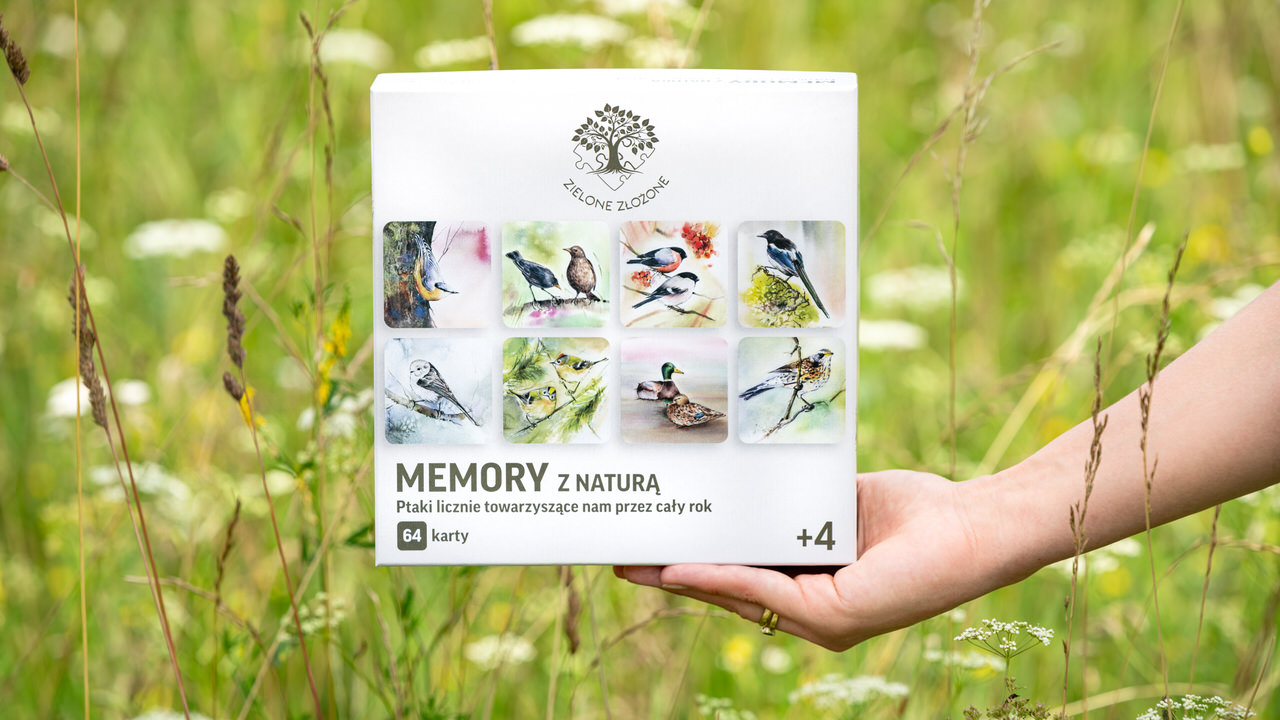 Gra dla każdego pokolenia, ptaki Polski, memory. Naucz się gatunków ptaków.