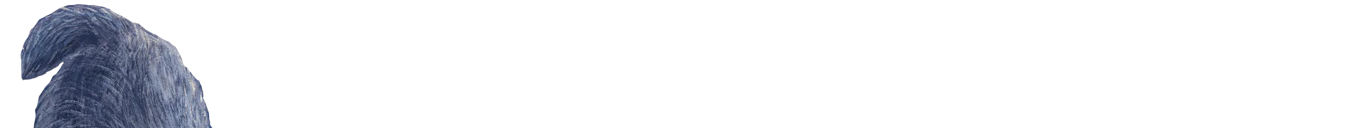 Ikona