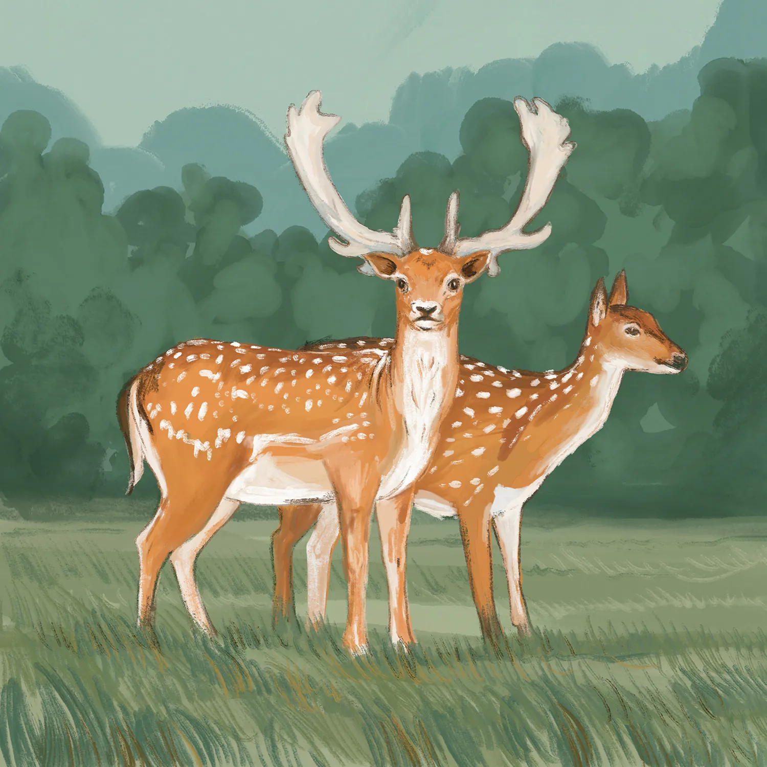 Daniel zwyczajny, byk oraz łania, na tle drzew, na skraju łąki. Ilustracja autorska w ramach serii Memory z naturą Dzikie ssaki w Polsce - od ryjówki malutkiej po żubra.