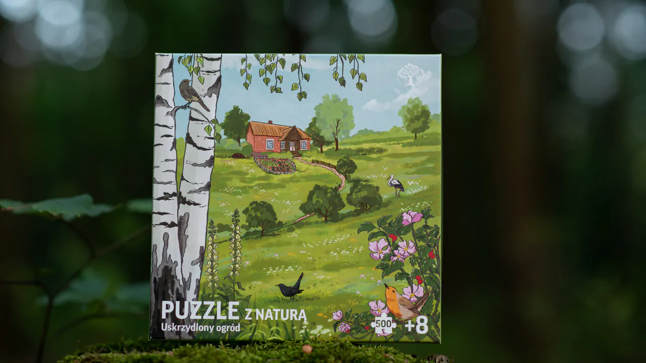 Puzzle z florą i fauną z Polski, Przyroda na wsi, naturalny ogród, bioróżnorodność i rodzime gatunki. Brzoza brodawkowata, łąka kwietna z koniczyną, dzika róża oraz ptaki.
